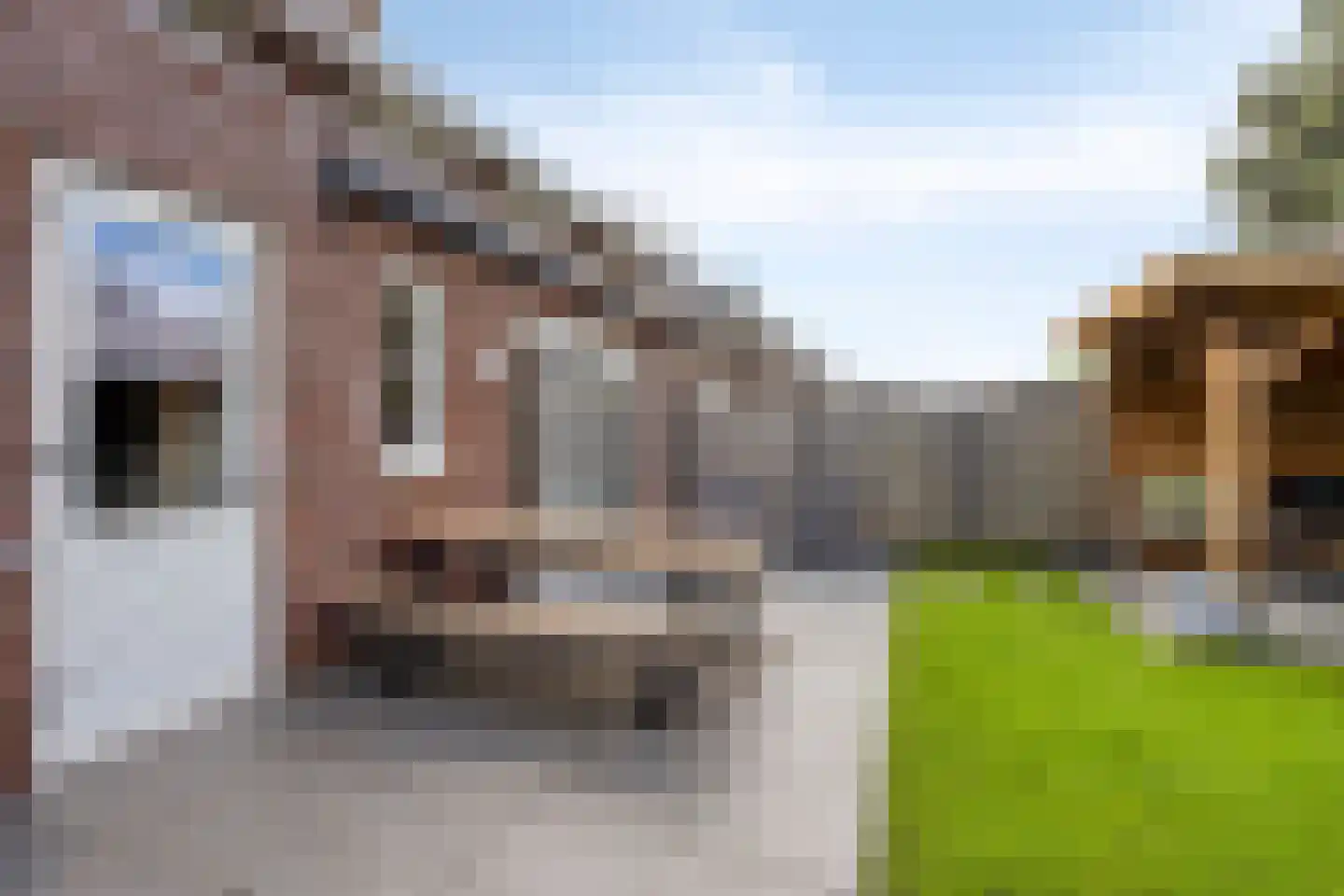 Schoener 14 Meppel thumbnail 43