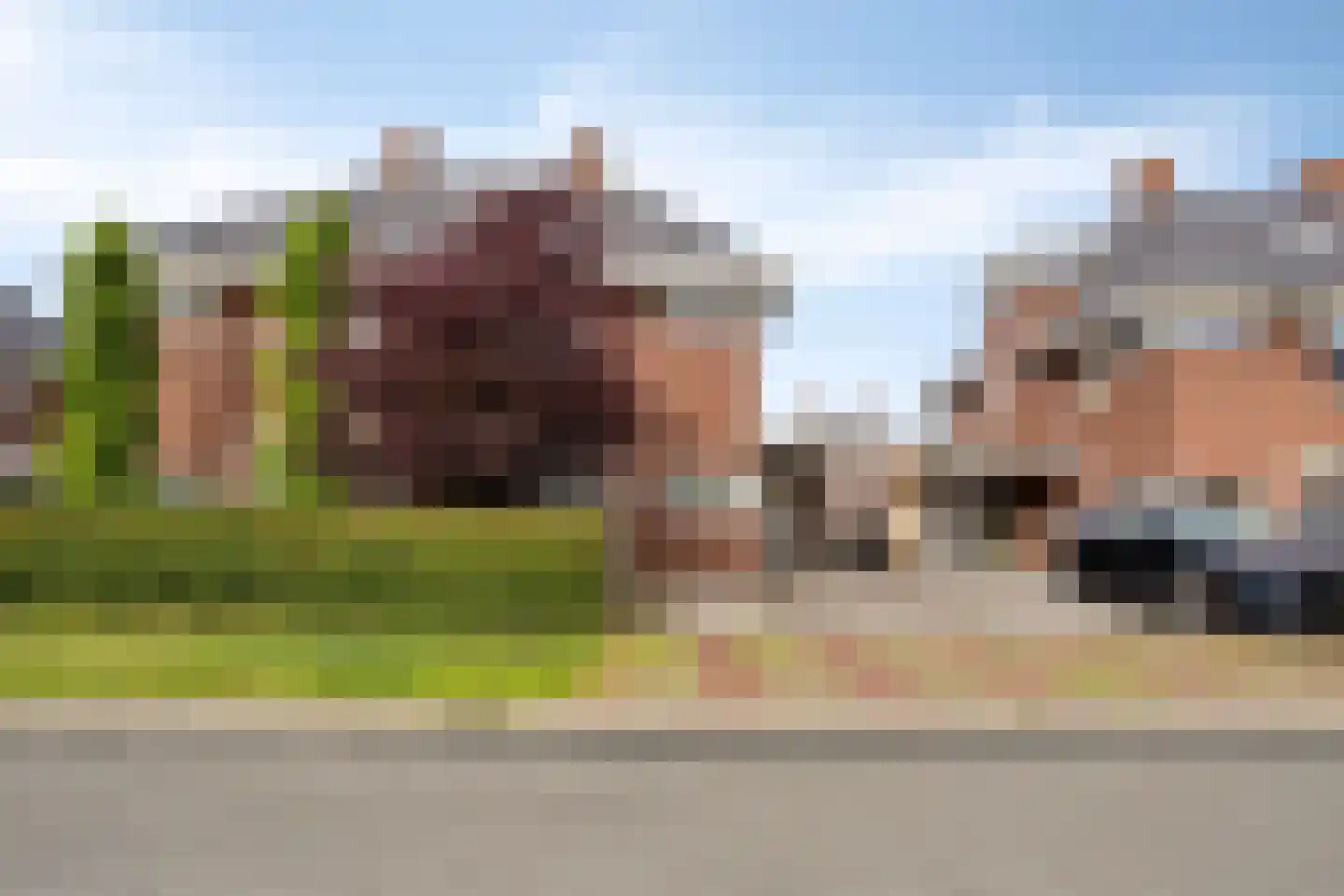 Schoener 14 Meppel thumbnail 6