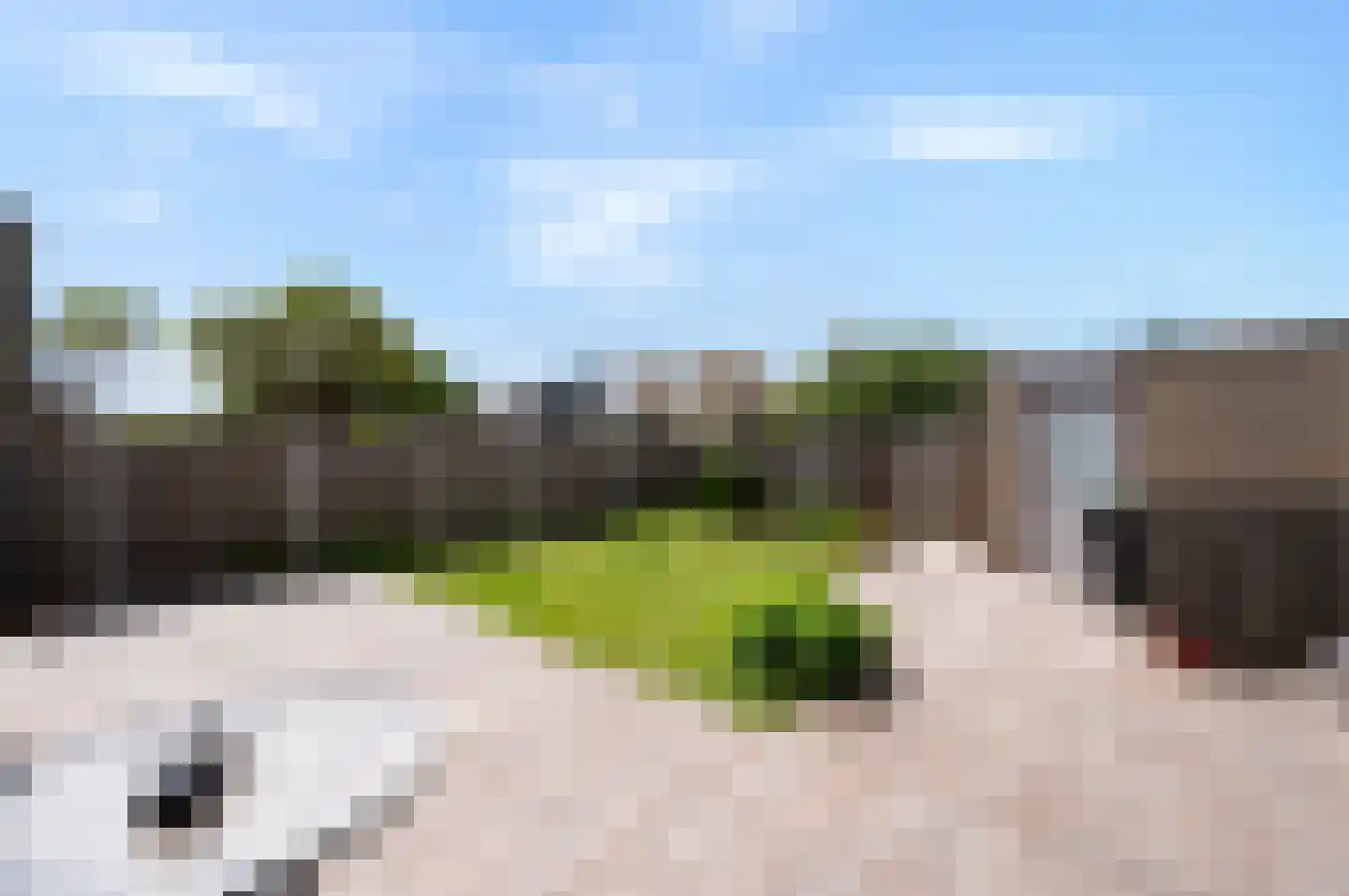 Schoener 15 16 Lelystad thumbnail 21