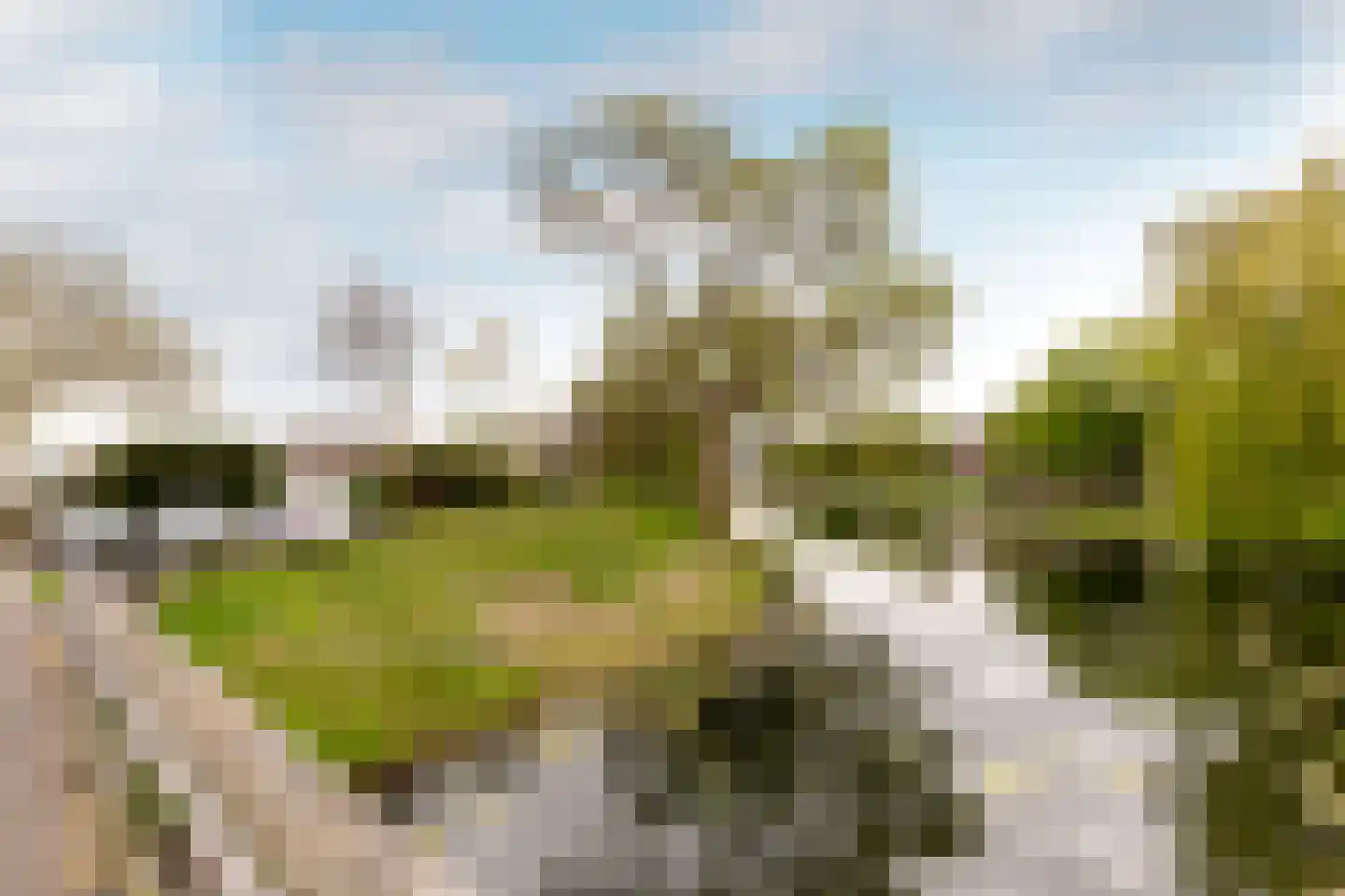 Schoener 15 18 Lelystad thumbnail 36