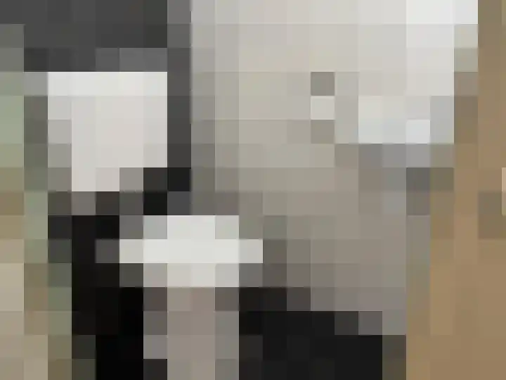 Schoener 15 Wieringerwerf thumbnail 8