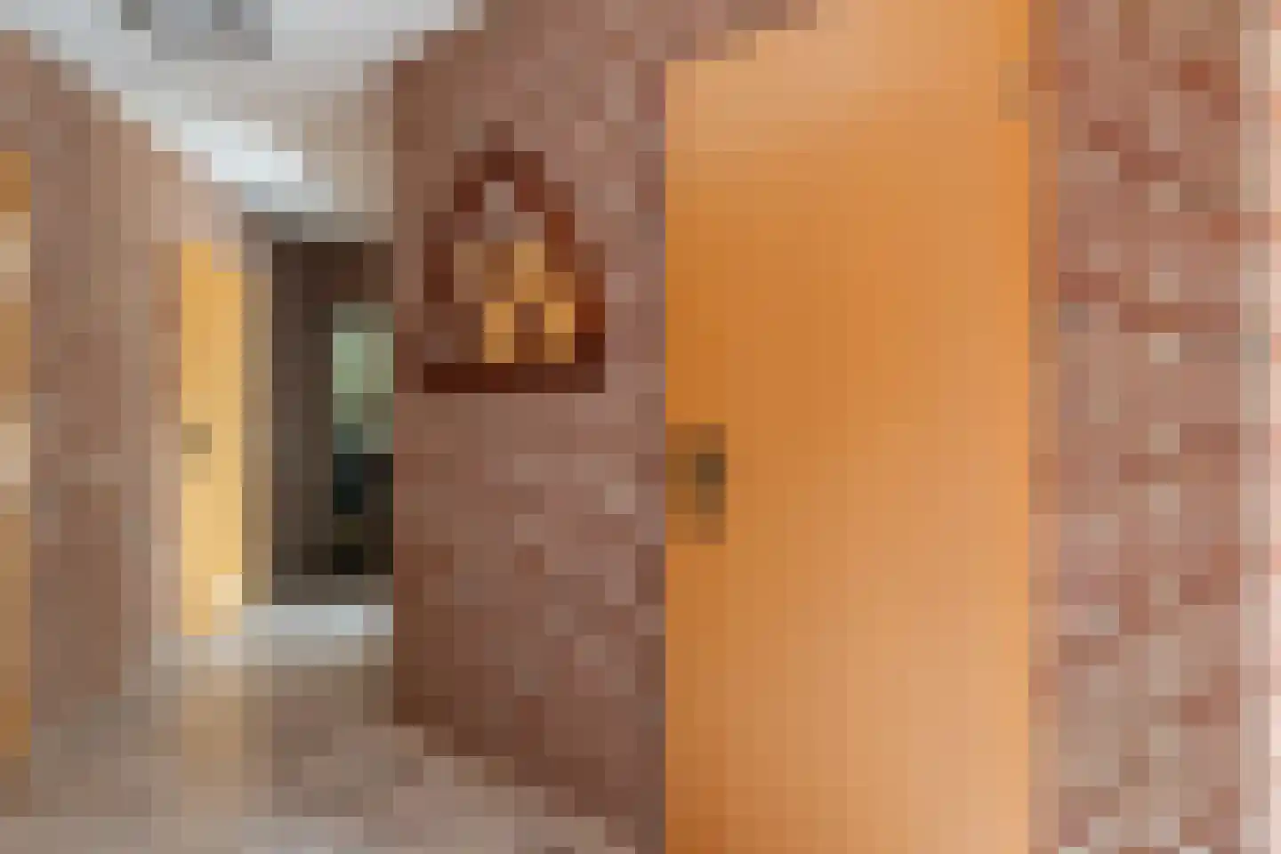 Schoener 17 Nieuw-Amsterdam thumbnail 13