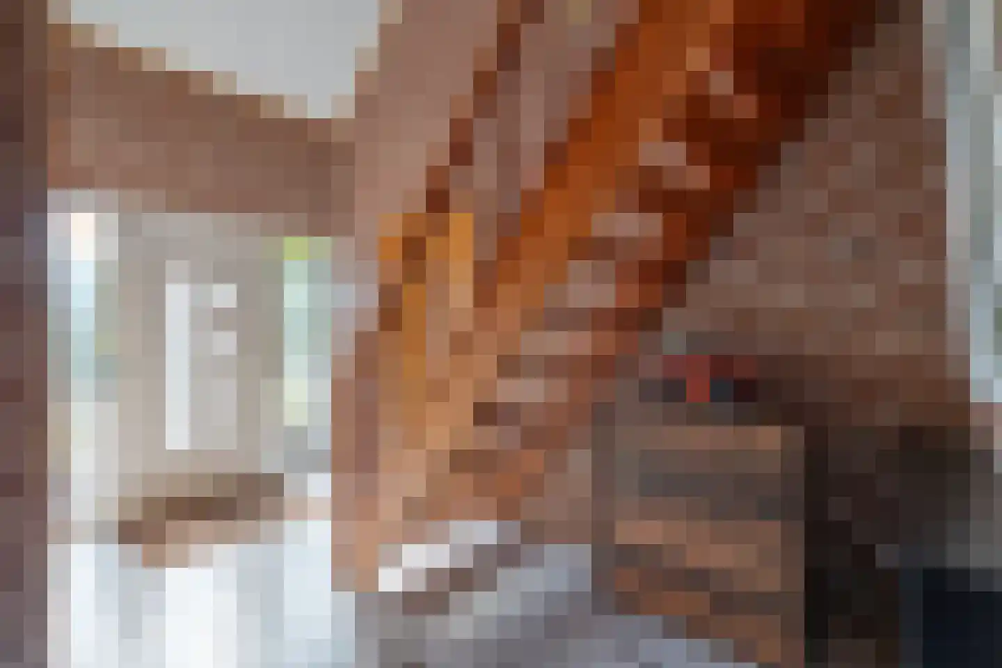 Schoener 17 Nieuw-Amsterdam thumbnail 5