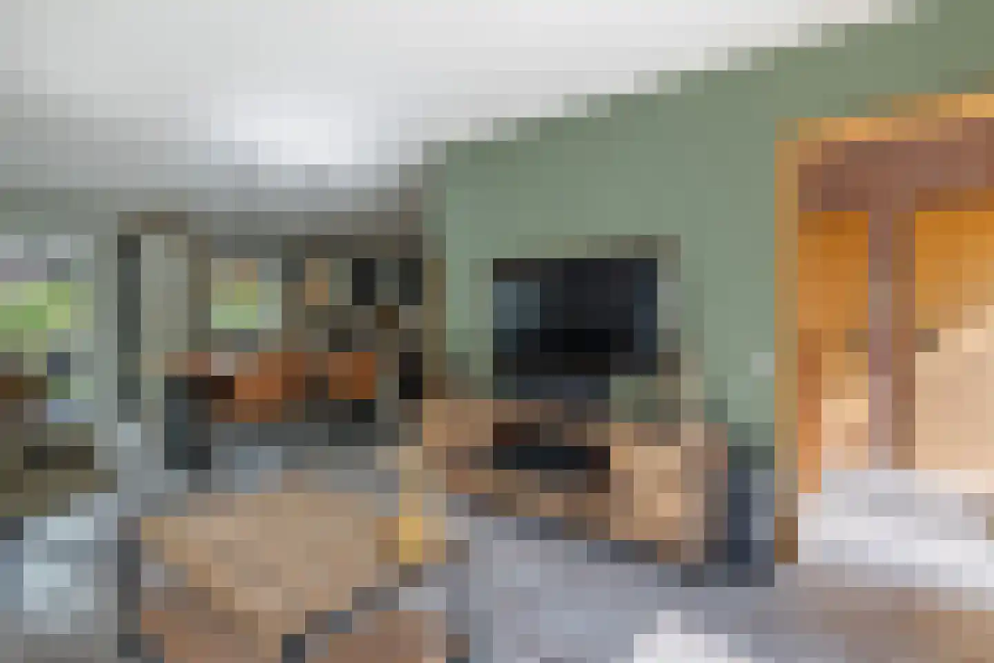 Schoener 17 Nieuw-Amsterdam thumbnail 8