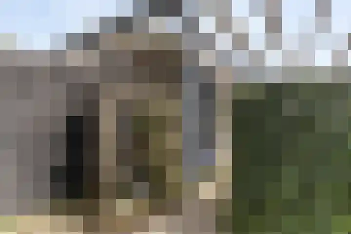 Schoener 18 Alblasserdam thumbnail 25