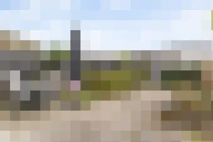 Schoener 18 Alblasserdam thumbnail 26