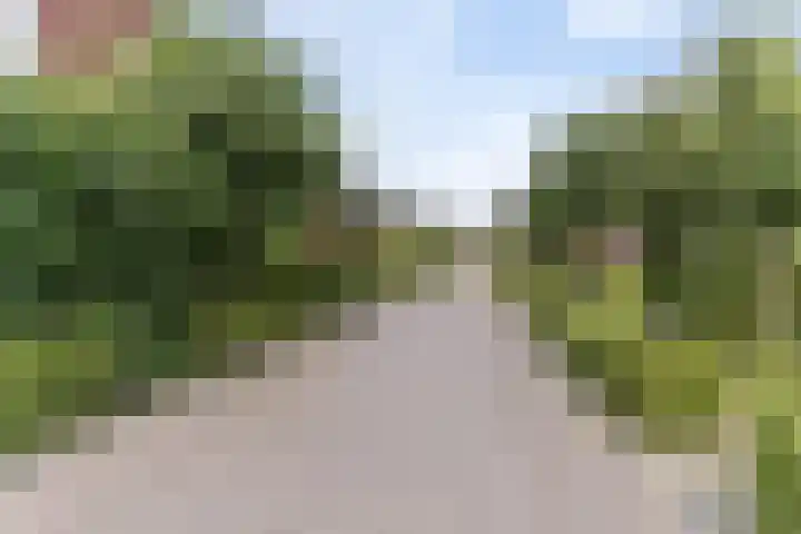 Schoener 18 Alblasserdam thumbnail 27