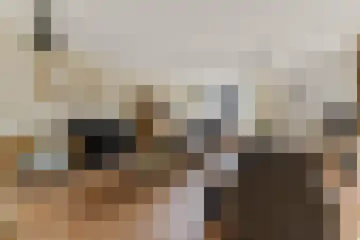 Schoener 18 Alblasserdam thumbnail 7