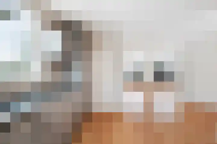 Schoener 18 Wieringerwerf thumbnail 10
