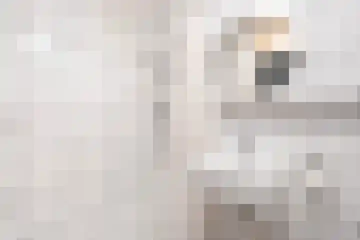 Schoener 18 Wieringerwerf thumbnail 19
