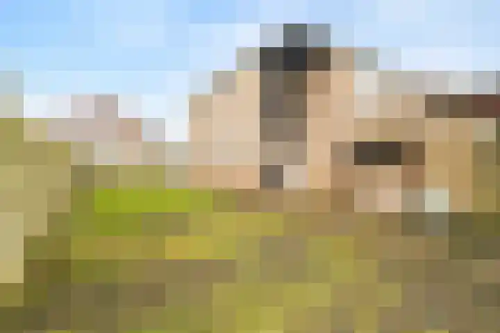 Schoener 18 Wieringerwerf thumbnail 23