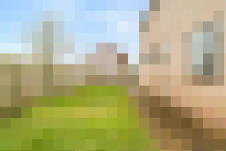 Schoener 18 Wieringerwerf thumbnail 25