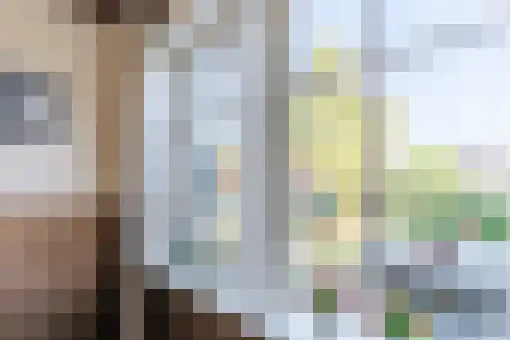 Schoener 19 Broek op Langedijk thumbnail 18