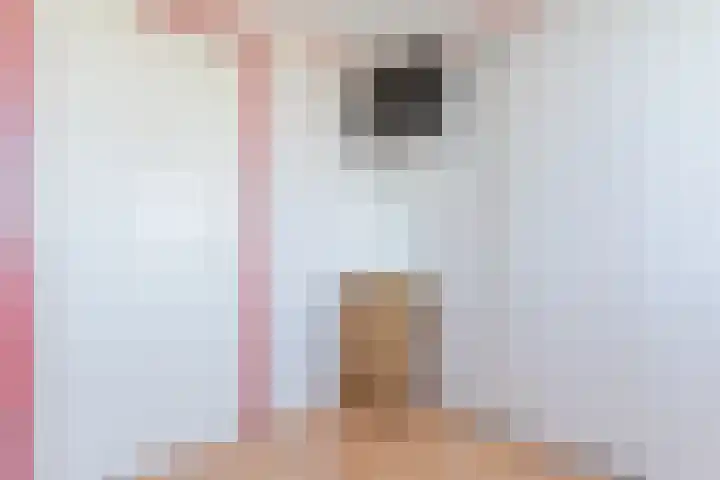 Schoener 19 Broek op Langedijk thumbnail 38