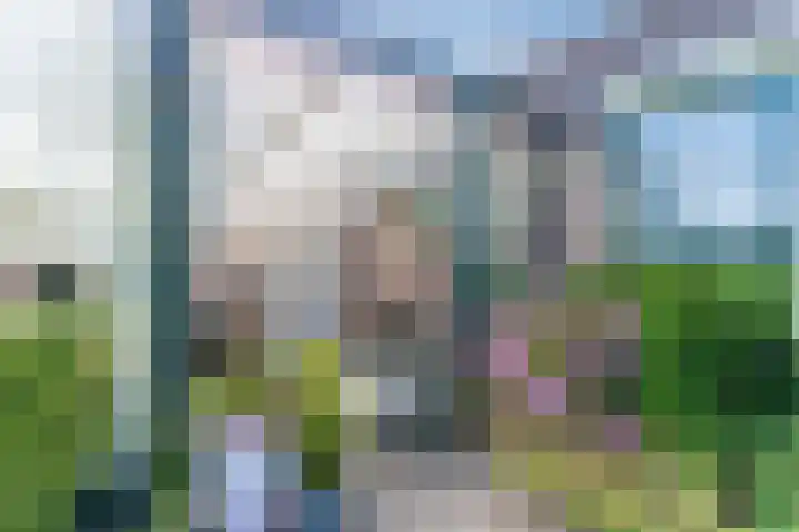 Schoener 19 Broek op Langedijk thumbnail 49