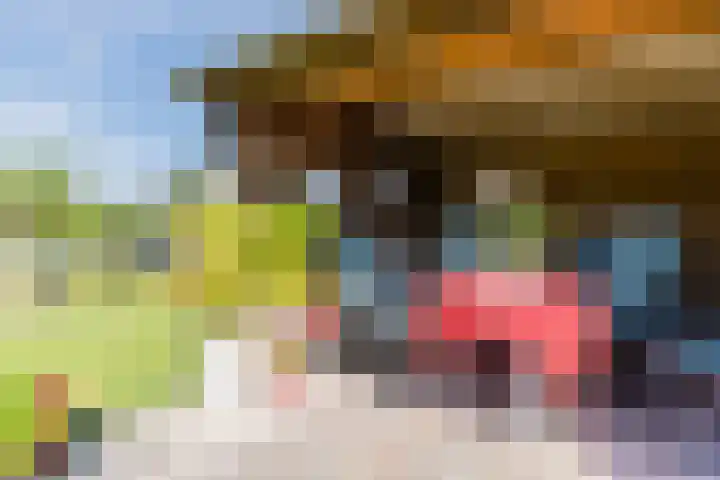 Schoener 19 Broek op Langedijk thumbnail 54