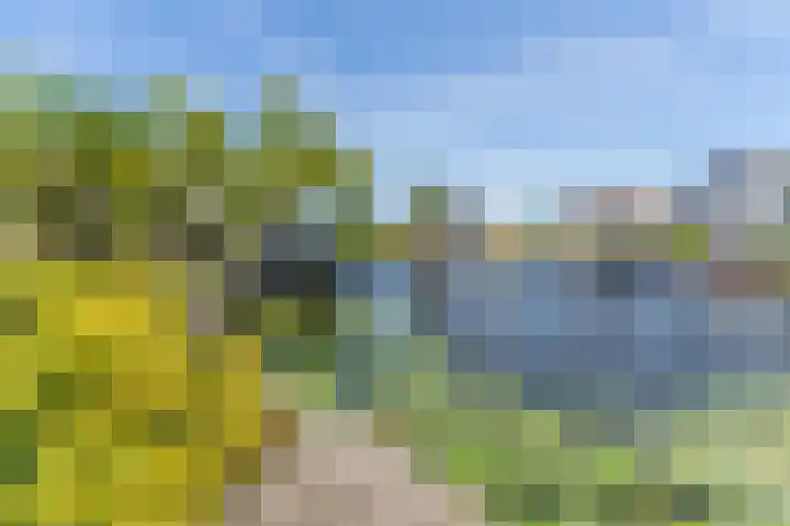Schoener 19 Broek op Langedijk thumbnail 58