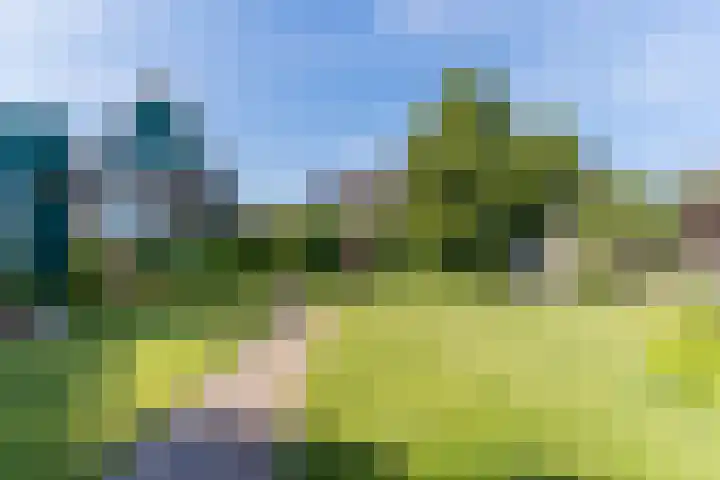 Schoener 19 Broek op Langedijk thumbnail 59