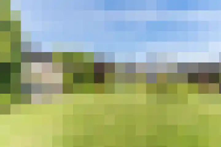 Schoener 19 Broek op Langedijk thumbnail 60