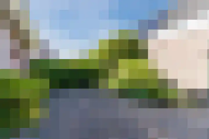Schoener 19 Broek op Langedijk thumbnail 61