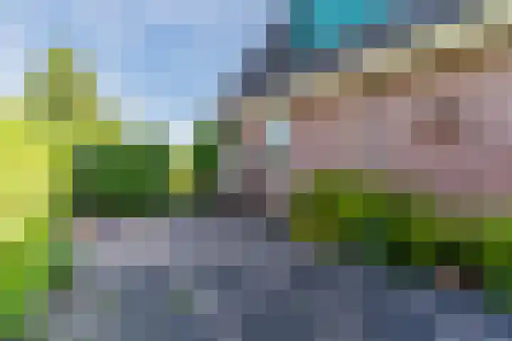 Schoener 19 Broek op Langedijk thumbnail 62