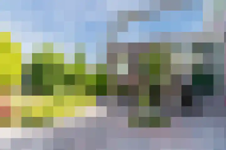 Schoener 19 Broek op Langedijk thumbnail 64
