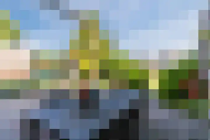 Schoener 19 Broek op Langedijk thumbnail 65