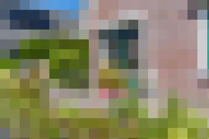 Schoener 19 Broek op Langedijk thumbnail 66