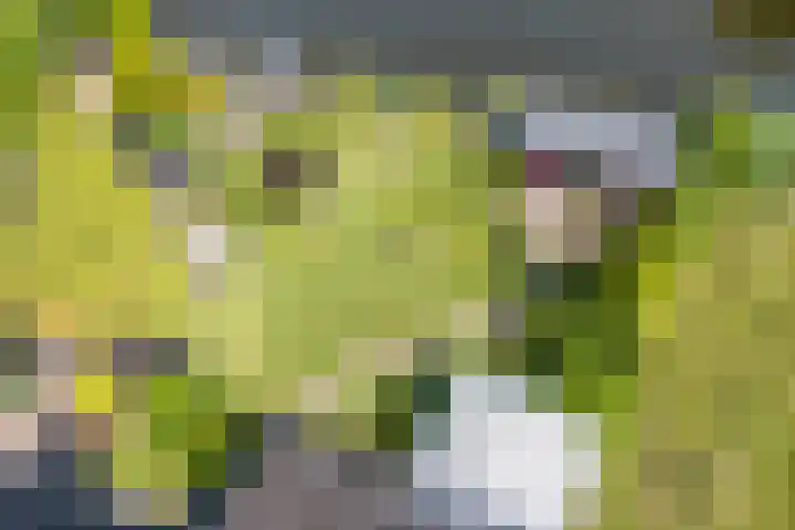 Schoener 19 Broek op Langedijk thumbnail 67
