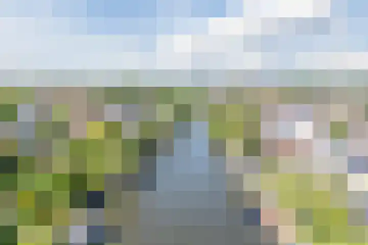Schoener 19 Broek op Langedijk thumbnail 71