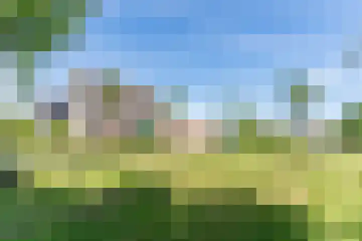 Schoener 19 Broek op Langedijk thumbnail 72