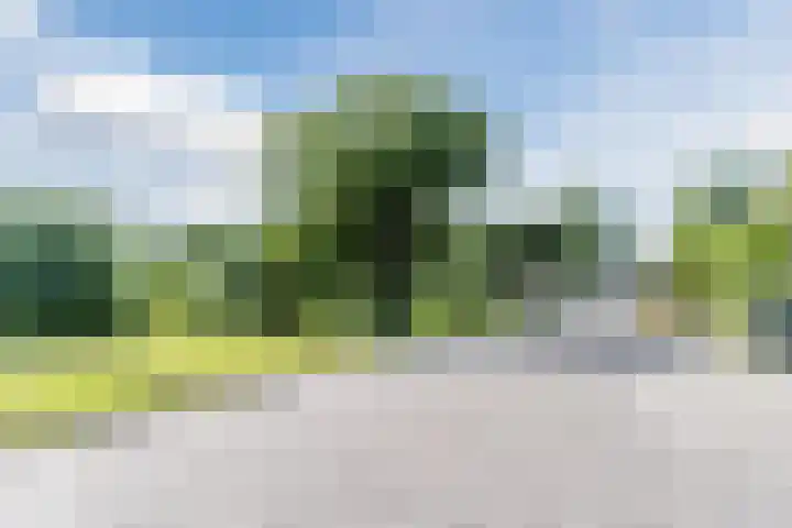 Schoener 19 Broek op Langedijk thumbnail 73
