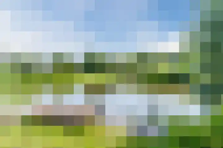 Schoener 19 Broek op Langedijk thumbnail 74