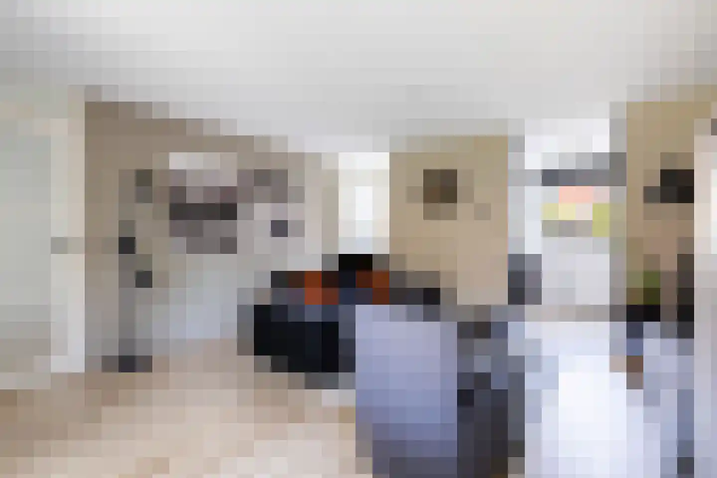 Schoener 2 Nijkerk thumbnail 11