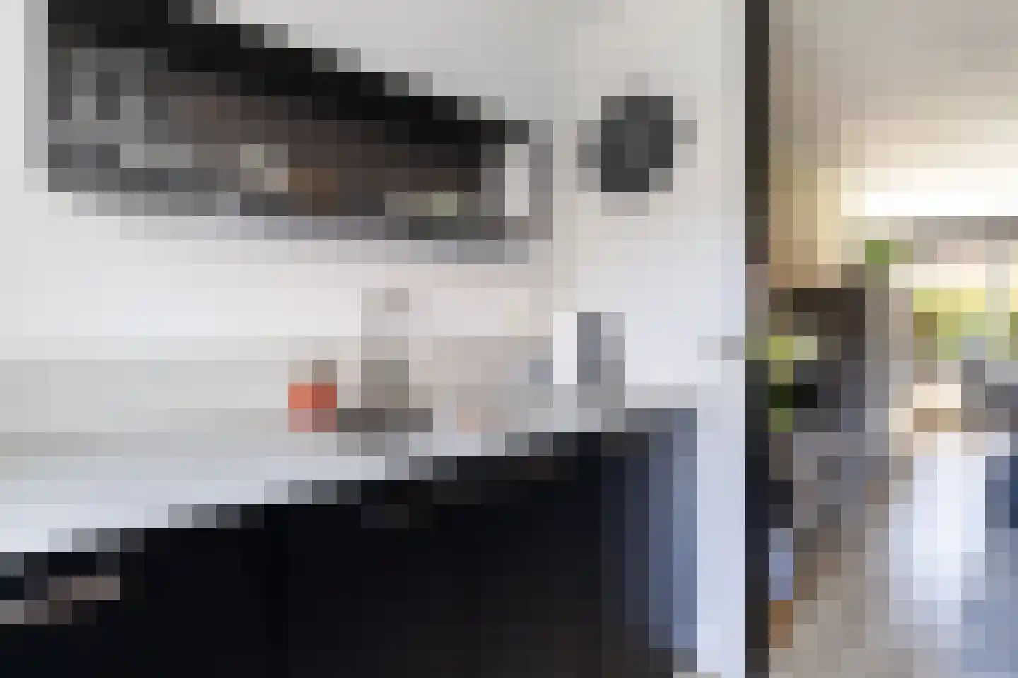 Schoener 2 Nijkerk thumbnail 14