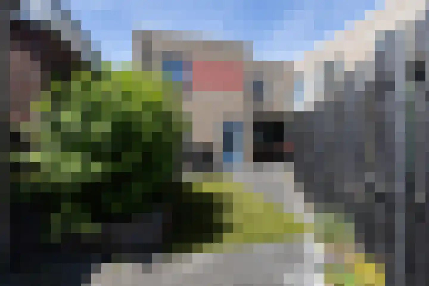 Schoener 2 Nijkerk thumbnail 15