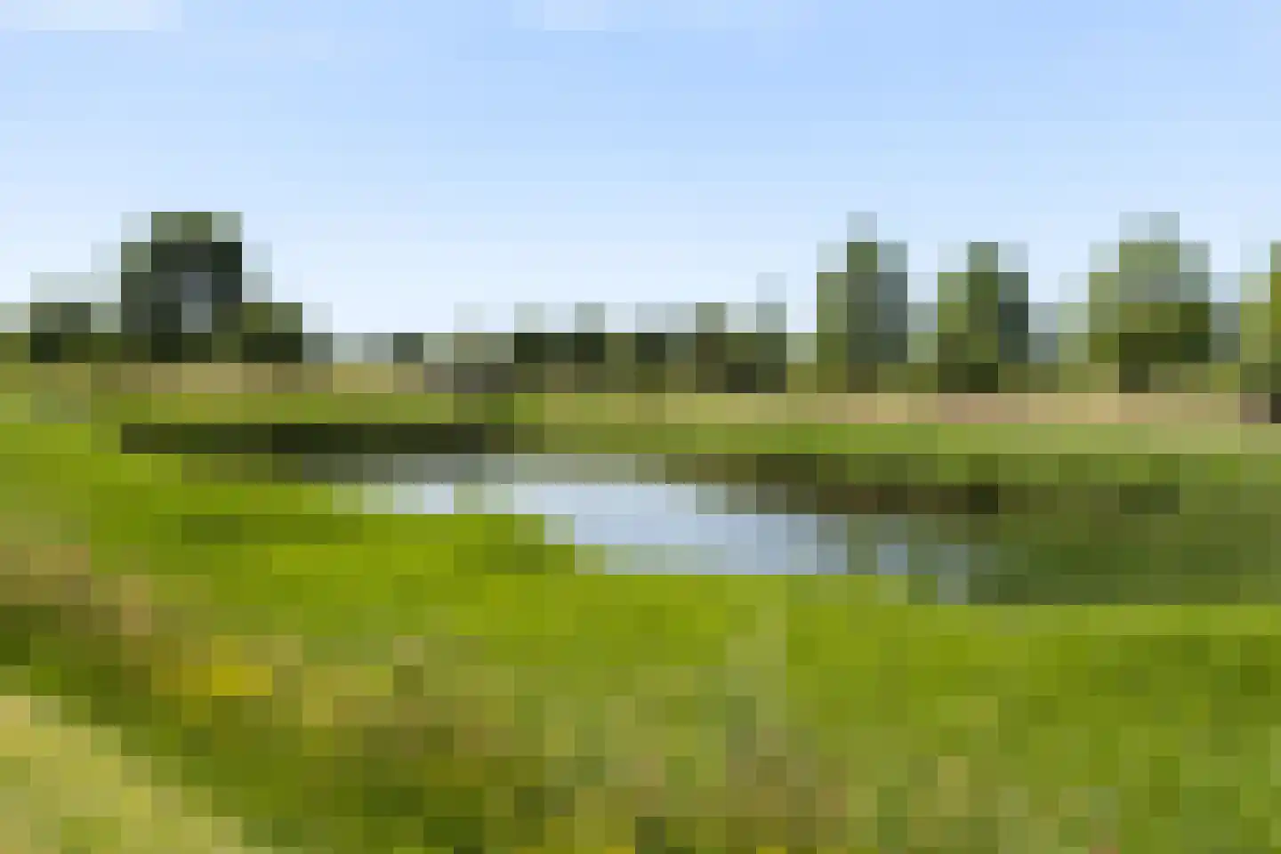 Schoener 2 Nijkerk thumbnail 23