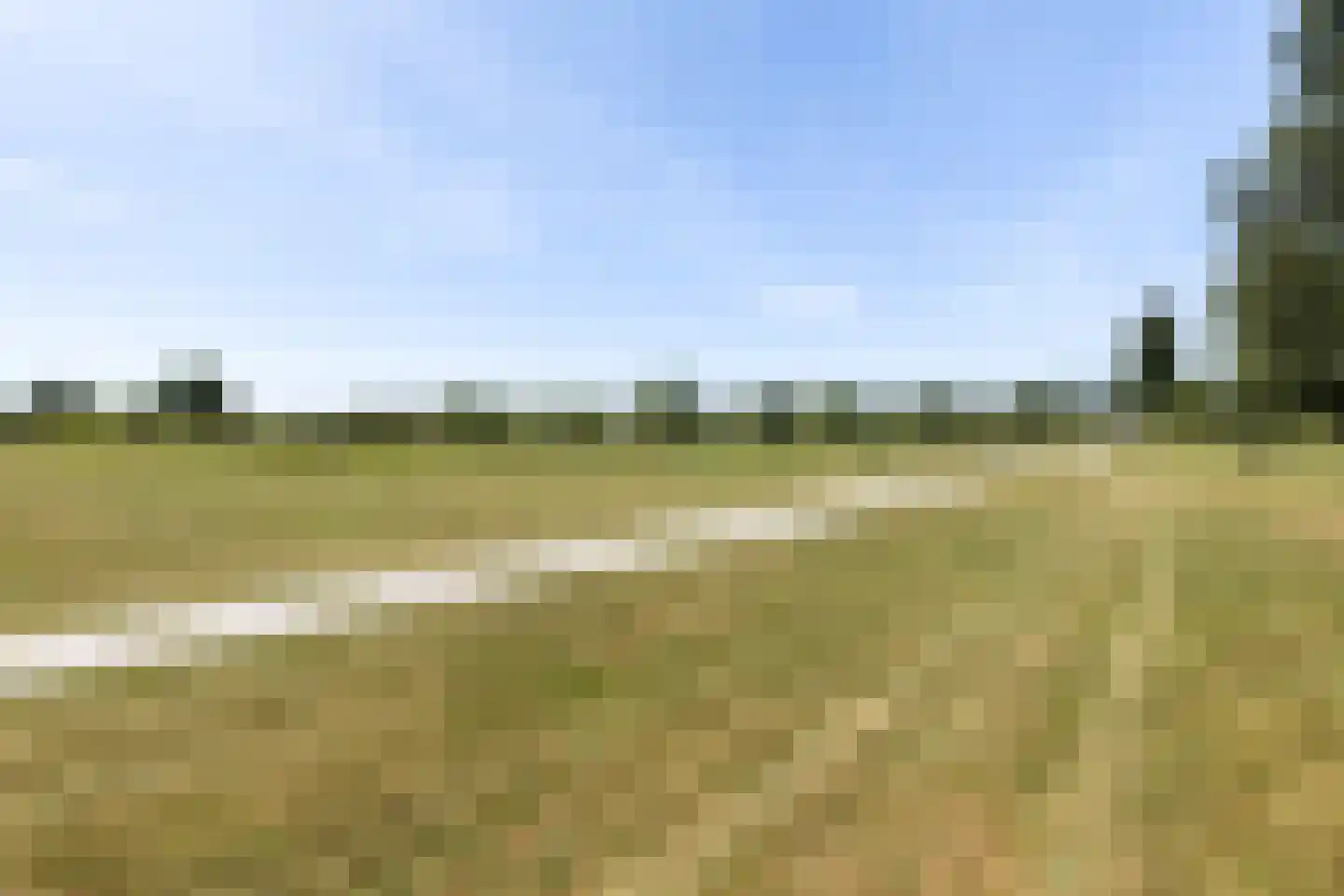 Schoener 2 Nijkerk thumbnail 24