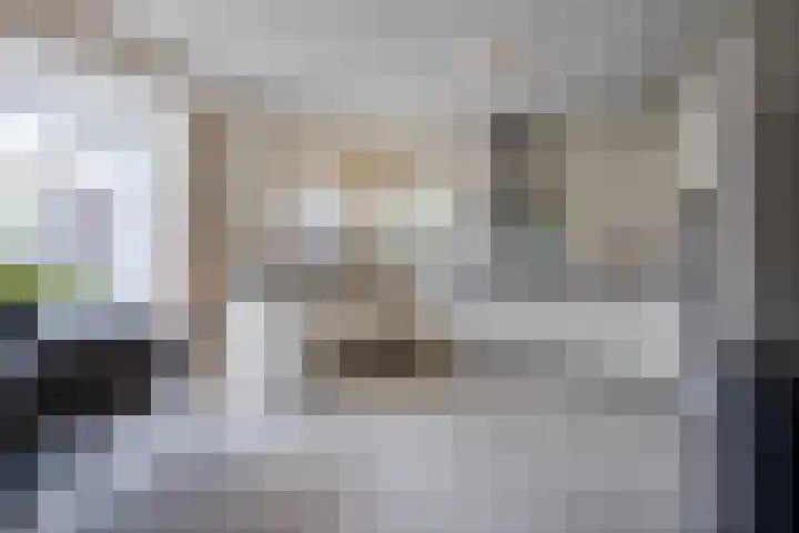 Schoener 20 Meppel thumbnail 10