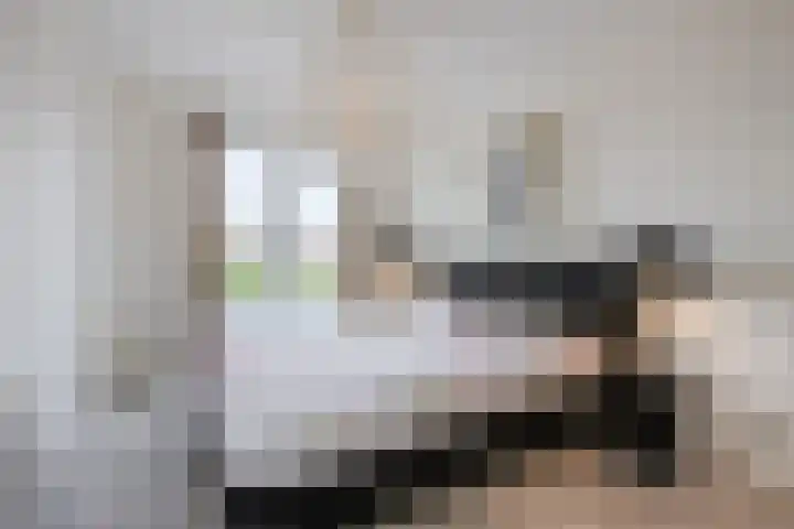 Schoener 20 Meppel thumbnail 14