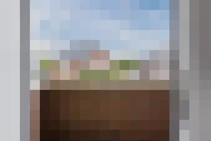 Schoener 20 Meppel thumbnail 18