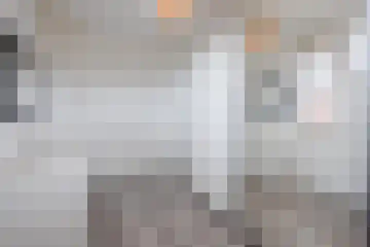 Schoener 20 Meppel thumbnail 21