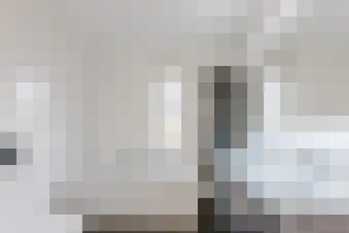 Schoener 20 Meppel thumbnail 22