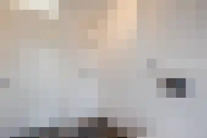 Schoener 20 Meppel thumbnail 24