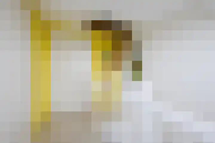 Schoener 20 Meppel thumbnail 31