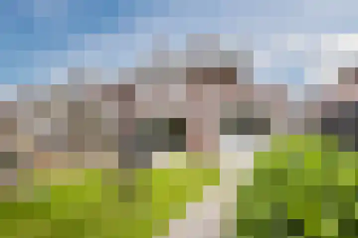 Schoener 20 Meppel thumbnail 34