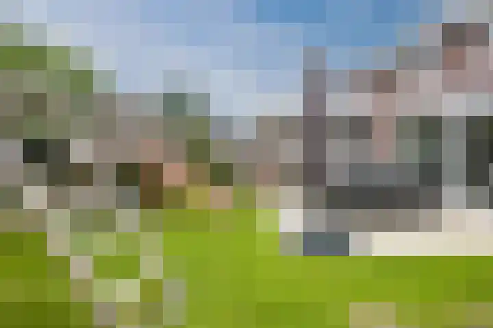 Schoener 20 Meppel thumbnail 36