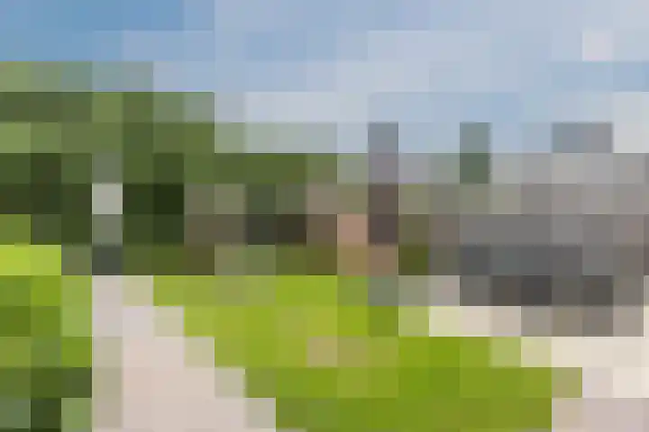 Schoener 20 Meppel thumbnail 37