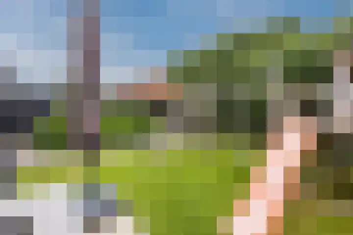 Schoener 20 Meppel thumbnail 38