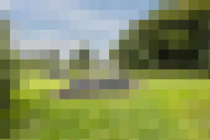 Schoener 20 Meppel thumbnail 39